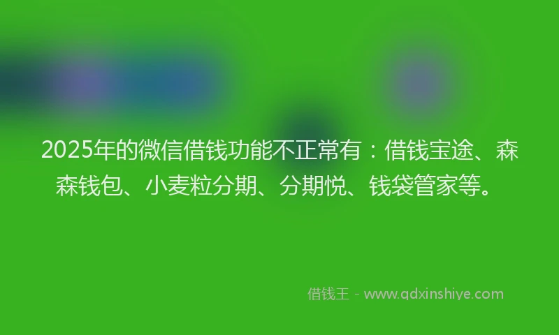 2025年的微信借钱功能不正常有：借钱宝途、森森钱包、小麦粒分期、分期悦、钱袋管家等。