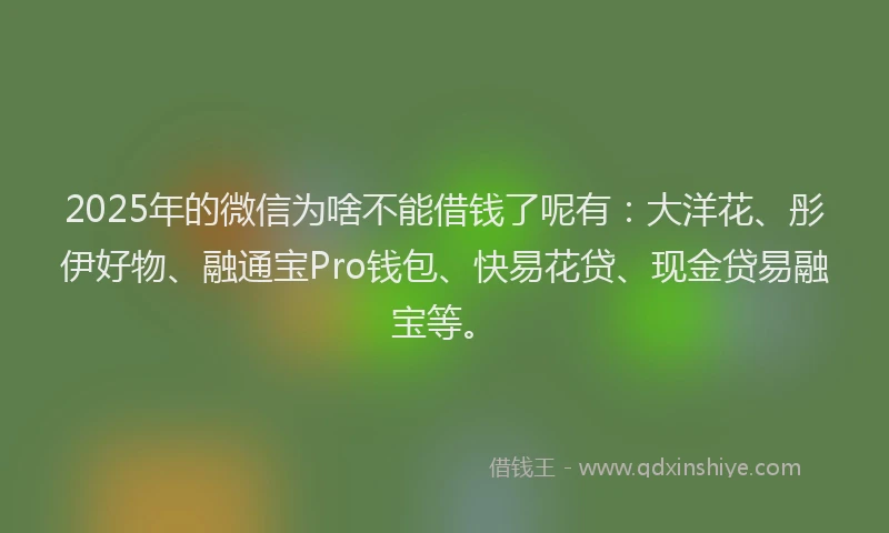 2025年的微信为啥不能借钱了呢有：大洋花、彤伊好物、融通宝Pro钱包、快易花贷、现金贷易融宝等。
