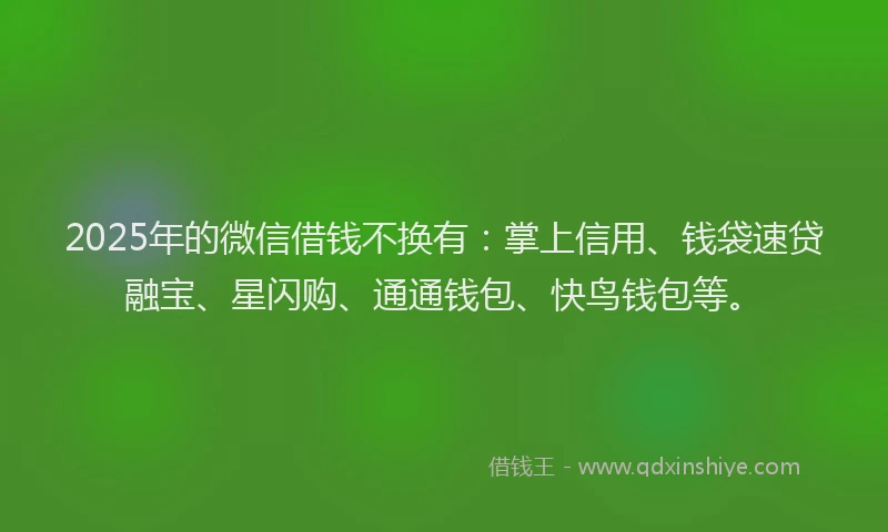 2025年的微信借钱不换有：掌上信用、钱袋速贷融宝、星闪购、通通钱包、快鸟钱包等。