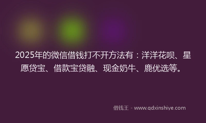 2025年的微信借钱打不开方法有：洋洋花呗、星愿贷宝、借款宝贷融、现金奶牛、鹿优选等。