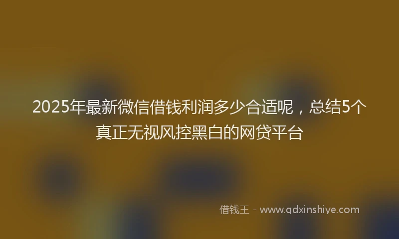 2025年最新微信借钱利润多少合适呢，总结5个真正无视风控黑白的网贷平台