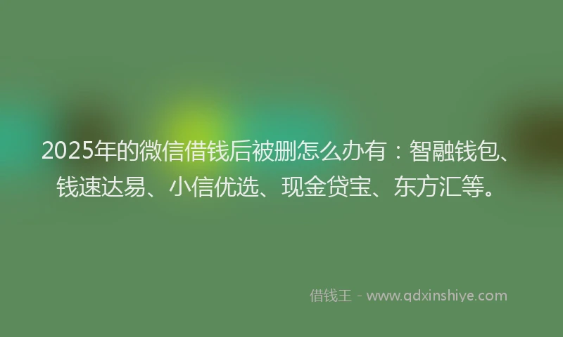 2025年的微信借钱后被删怎么办有：智融钱包、钱速达易、小信优选、现金贷宝、东方汇等。