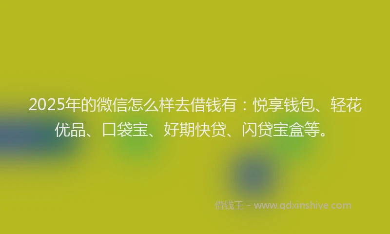 2025年的微信怎么样去借钱有：悦享钱包、轻花优品、口袋宝、好期快贷、闪贷宝盒等。
