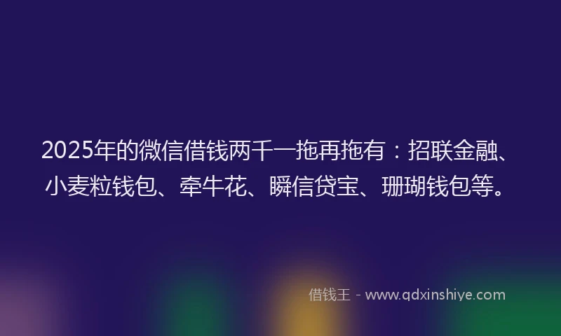 2025年的微信借钱两千一拖再拖有：招联金融、小麦粒钱包、牵牛花、瞬信贷宝、珊瑚钱包等。