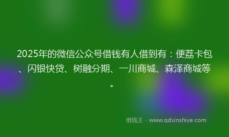 2025年的微信公众号借钱有人借到有：便荔卡包、闪银快贷、树融分期、一川商城、森泽商城等。