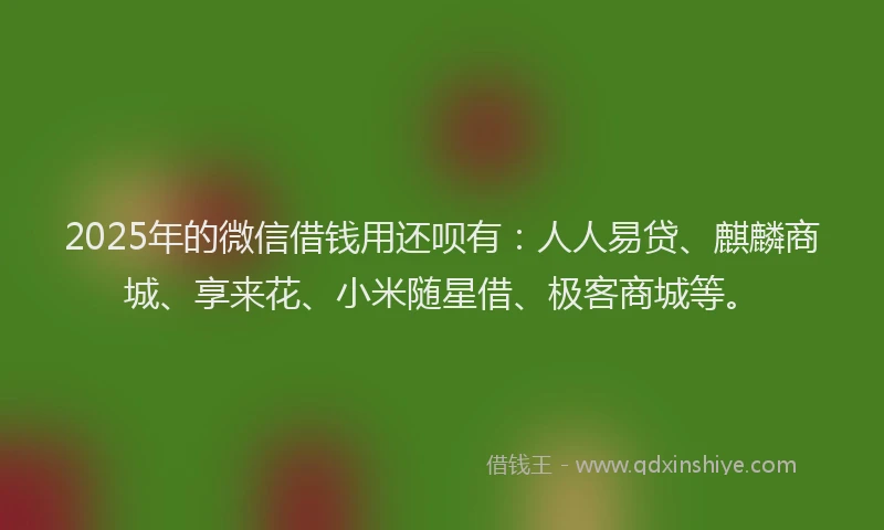 2025年的微信借钱用还呗有：人人易贷、麒麟商城、享来花、小米随星借、极客商城等。