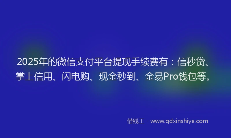 2025年的微信支付平台提现手续费有：信秒贷、掌上信用、闪电购、现金秒到、金易Pro钱包等。
