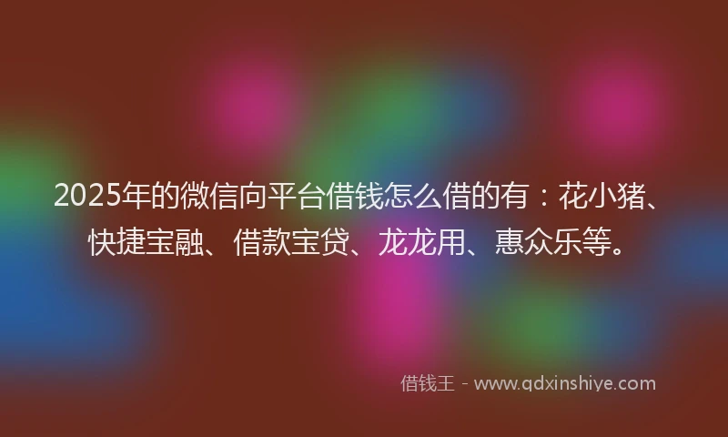 2025年的微信向平台借钱怎么借的有：花小猪、快捷宝融、借款宝贷、龙龙用、惠众乐等。