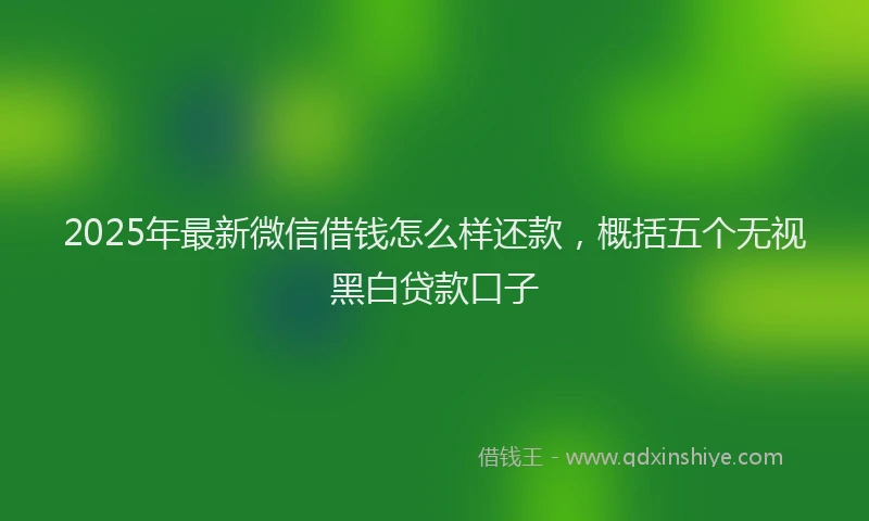 2025年最新微信借钱怎么样还款，概括五个无视黑白贷款口子
