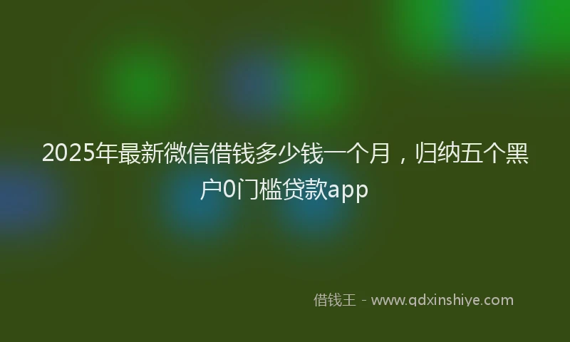 2025年最新微信借钱多少钱一个月，归纳五个黑户0门槛贷款app
