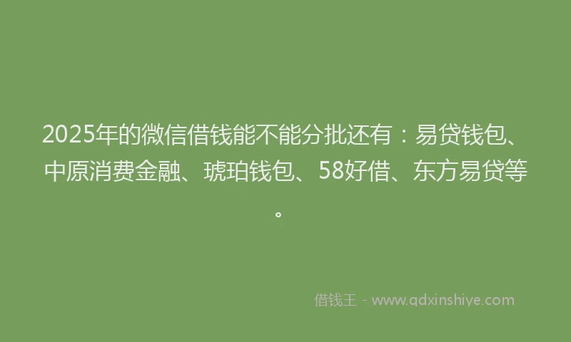 2025年的微信借钱能不能分批还有：易贷钱包、中原消费金融、琥珀钱包、58好借、东方易贷等。