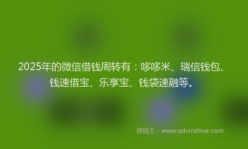 2025年的微信借钱周转有：哆哆米、瑞信钱包、钱速借宝、乐享宝、钱袋速融等。