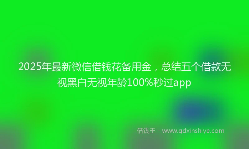 2025年最新微信借钱花备用金，总结五个借款无视黑白无视年龄100%秒过app