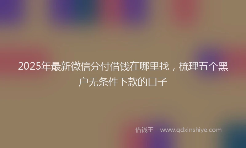 2025年最新微信分付借钱在哪里找，梳理五个黑户无条件下款的口子
