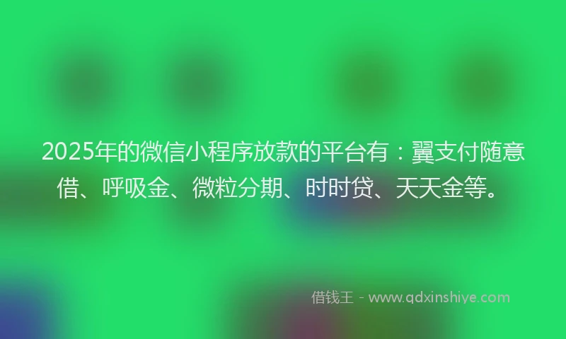 2025年的微信小程序放款的平台有：翼支付随意借、呼吸金、微粒分期、时时贷、天天金等。