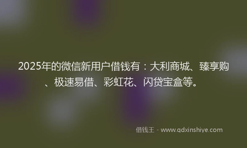 2025年的微信新用户借钱有：大利商城、臻享购、极速易借、彩虹花、闪贷宝盒等。