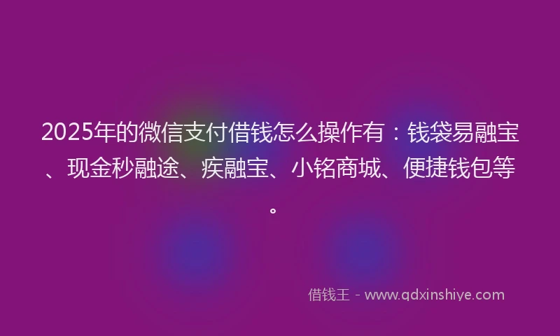 2025年的微信支付借钱怎么操作有：钱袋易融宝、现金秒融途、疾融宝、小铭商城、便捷钱包等。
