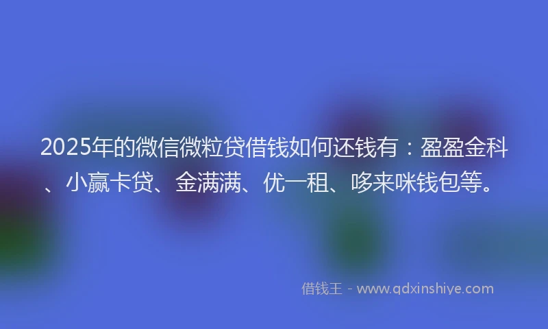 2025年的微信微粒贷借钱如何还钱有：盈盈金科、小赢卡贷、金满满、优一租、哆来咪钱包等。