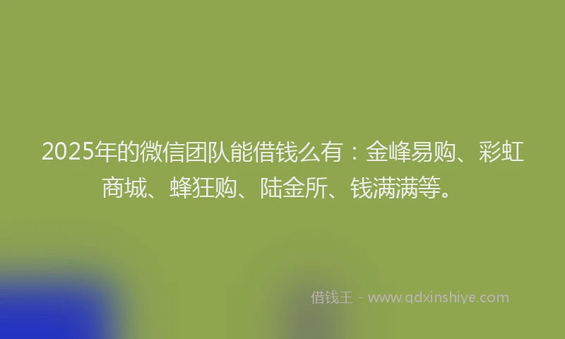 2025年的微信团队能借钱么有：金峰易购、彩虹商城、蜂狂购、陆金所、钱满满等。