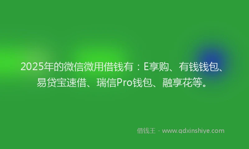 2025年的微信微用借钱有:E享购、有钱钱包、易贷宝速借、瑞信Pro钱包、融享花等。