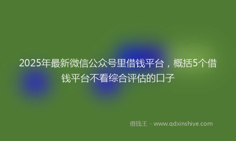 2025年最新微信公众号里借钱平台，概括5个借钱平台不看综合评估的口子