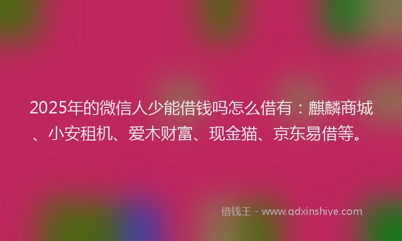 2025年的微信人少能借钱吗怎么借有：麒麟商城、小安租机、爱木财富、现金猫、京东易借等。