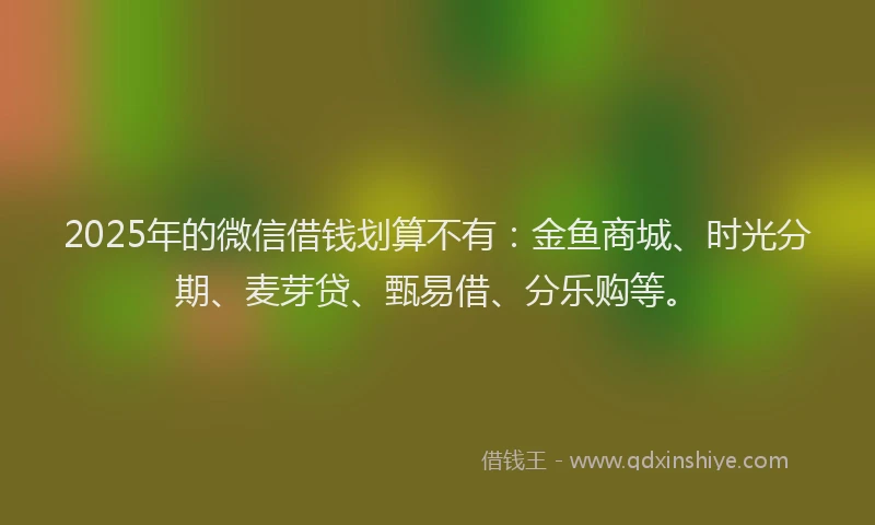 2025年的微信借钱划算不有：金鱼商城、时光分期、麦芽贷、甄易借、分乐购等。