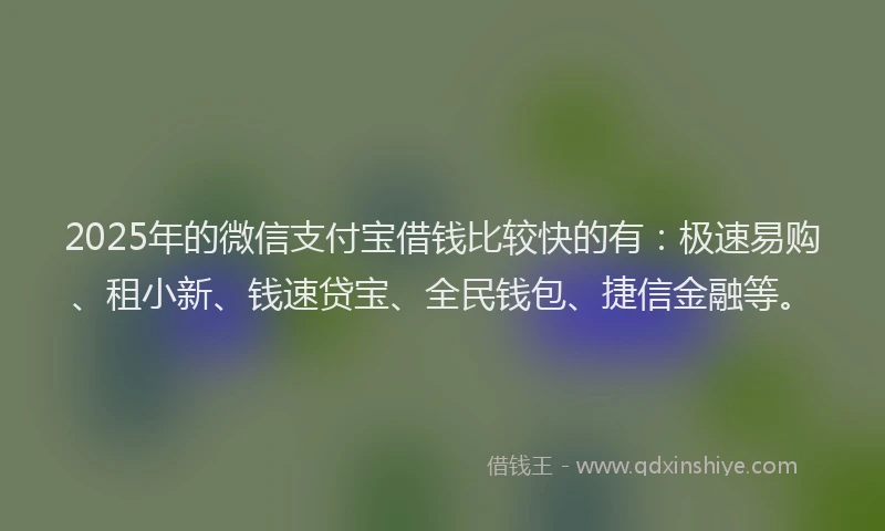 2025年的微信支付宝借钱比较快的有：极速易购、租小新、钱速贷宝、全民钱包、捷信金融等。
