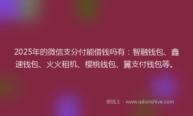2025年的微信支分付能借钱吗有:智融钱包、鑫速钱包、火火租机、樱桃钱包、翼支付钱包等。