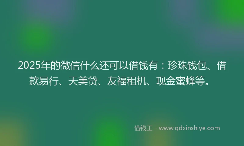 2025年的微信什么还可以借钱有：珍珠钱包、借款易行、天美贷、友福租机、现金蜜蜂等。