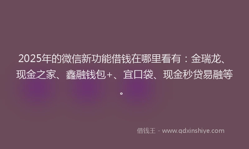 2025年的微信新功能借钱在哪里看有：金瑞龙、现金之家、鑫融钱包+、宜口袋、现金秒贷易融等。