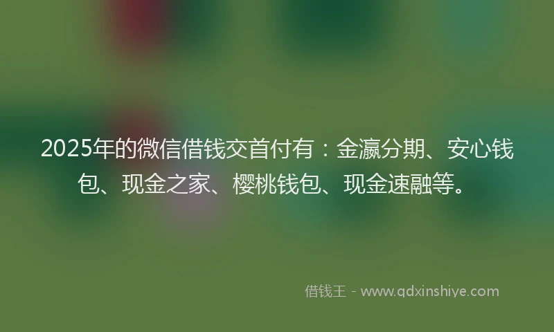 2025年的微信借钱交首付有：金瀛分期、安心钱包、现金之家、樱桃钱包、现金速融等。