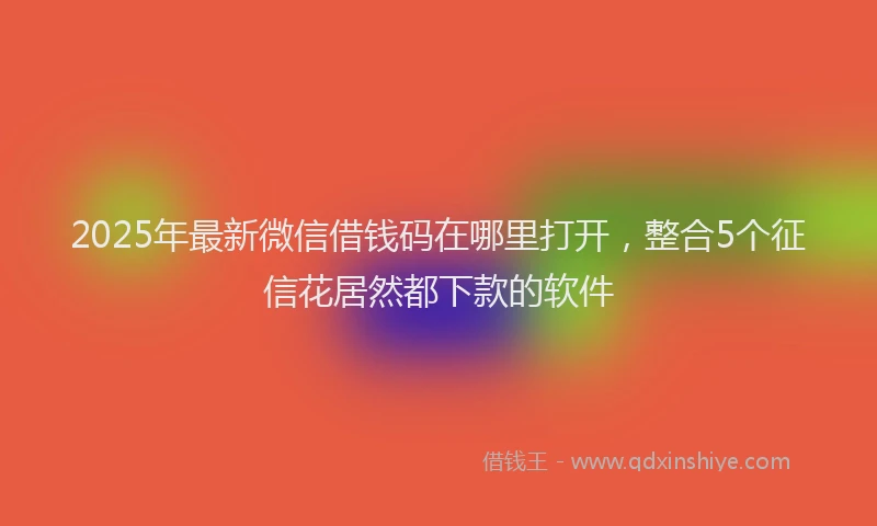 2025年最新微信借钱码在哪里打开，整合5个征信花居然都下款的软件