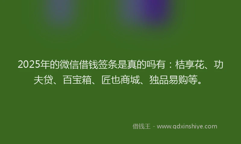 2025年的微信借钱签条是真的吗有：桔享花、功夫贷、百宝箱、匠也商城、独品易购等。