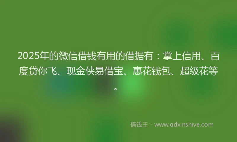 2025年的微信借钱有用的借据有：掌上信用、百度贷你飞、现金侠易借宝、惠花钱包、超级花等。