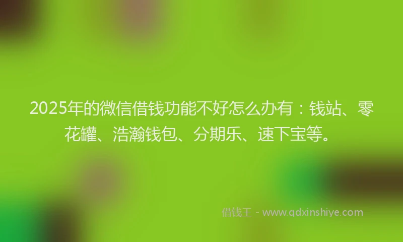 2025年的微信借钱功能不好怎么办有：钱站、零花罐、浩瀚钱包、分期乐、速下宝等。