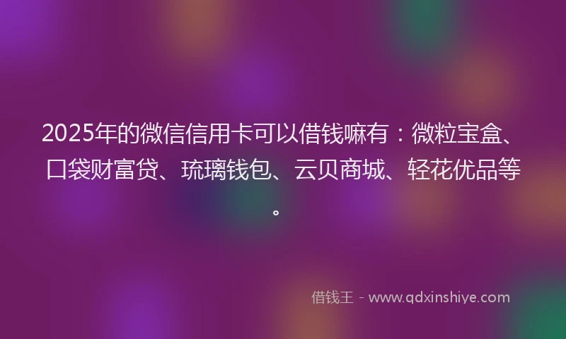 2025年的微信信用卡可以借钱嘛有：微粒宝盒、口袋财富贷、琉璃钱包、云贝商城、轻花优品等。
