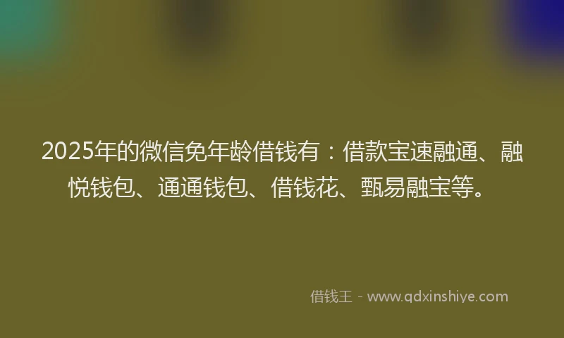 2025年的微信免年龄借钱有：借款宝速融通、融悦钱包、通通钱包、借钱花、甄易融宝等。
