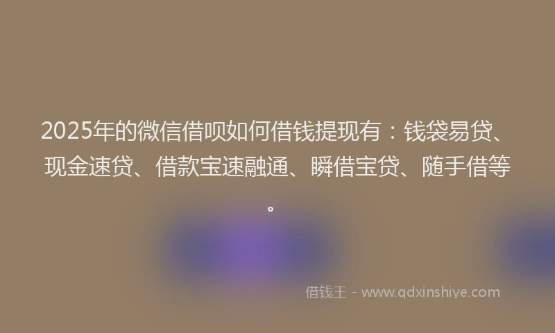 2025年的微信借呗如何借钱提现有：钱袋易贷、现金速贷、借款宝速融通、瞬借宝贷、随手借等。