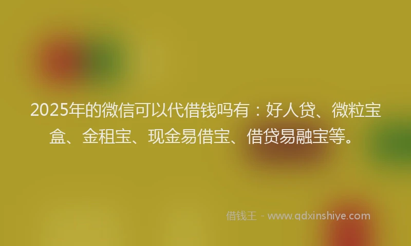 2025年的微信可以代借钱吗有：好人贷、微粒宝盒、金租宝、现金易借宝、借贷易融宝等。
