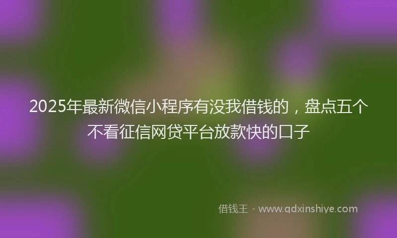2025年最新微信小程序有没我借钱的，盘点五个不看征信网贷平台放款快的口子