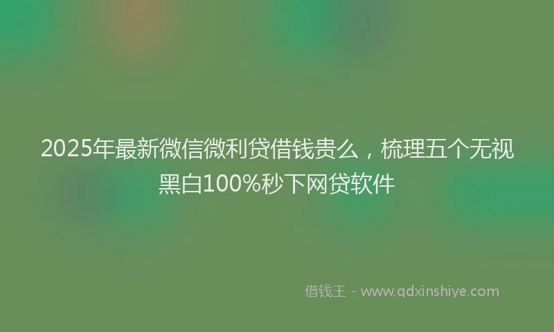 2025年最新微信微利贷借钱贵么，梳理五个无视黑白100%秒下网贷软件