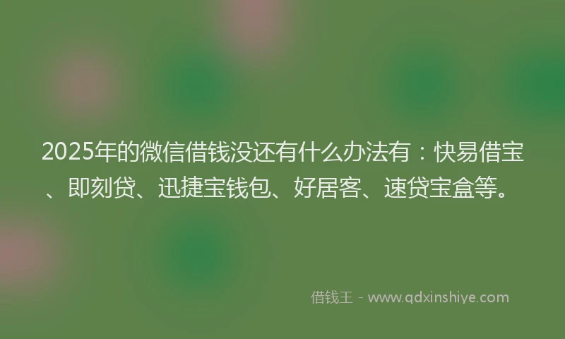 2025年的微信借钱没还有什么办法有：快易借宝、即刻贷、迅捷宝钱包、好居客、速贷宝盒等。