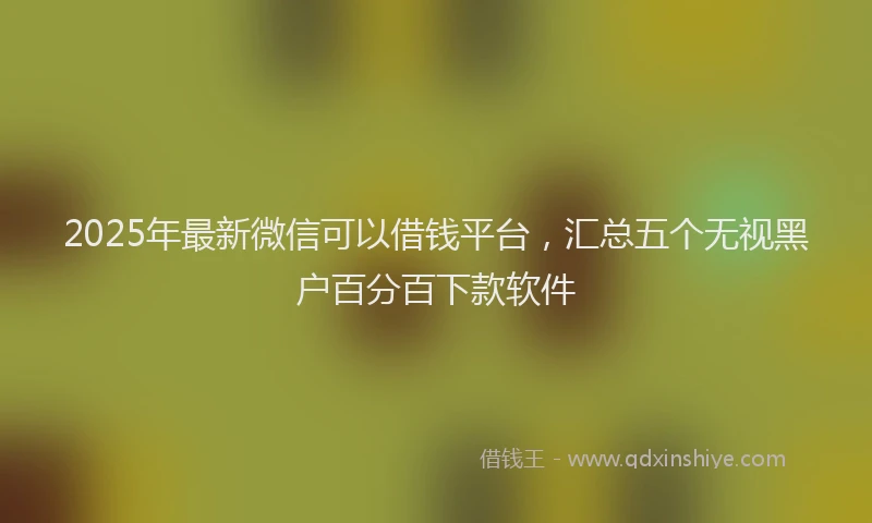 2025年最新微信可以借钱平台，汇总五个无视黑户百分百下款软件