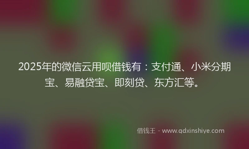 2025年的微信云用呗借钱有：支付通、小米分期宝、易融贷宝、即刻贷、东方汇等。