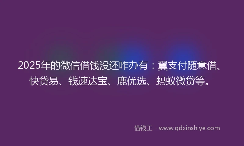 2025年的微信借钱没还咋办有：翼支付随意借、快贷易、钱速达宝、鹿优选、蚂蚁微贷等。