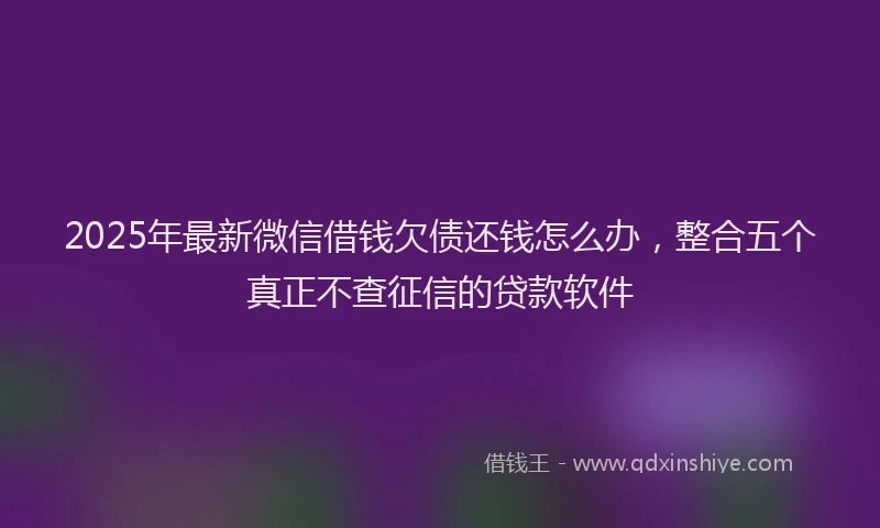 2025年最新微信借钱欠债还钱怎么办，整合五个真正不查征信的贷款软件