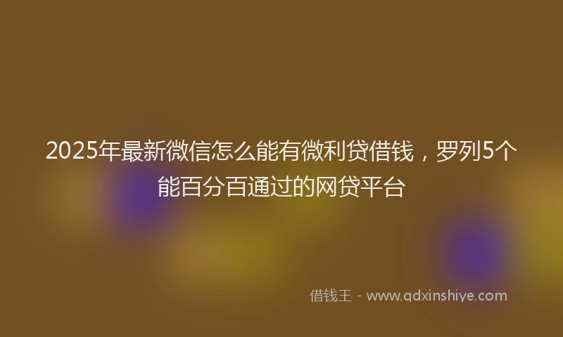 2025年最新微信怎么能有微利贷借钱，罗列5个能百分百通过的网贷平台