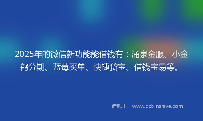 2025年的微信新功能能借钱有：涌泉金服、小金鹤分期、蓝莓买单、快捷贷宝、借钱宝易等。