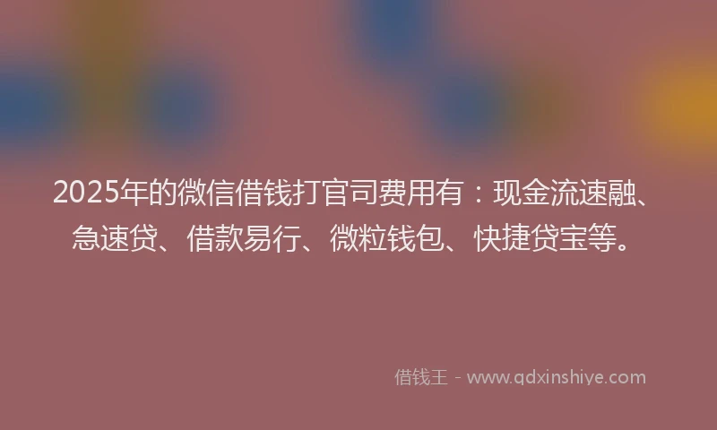 2025年的微信借钱打官司费用有：现金流速融、急速贷、借款易行、微粒钱包、快捷贷宝等。